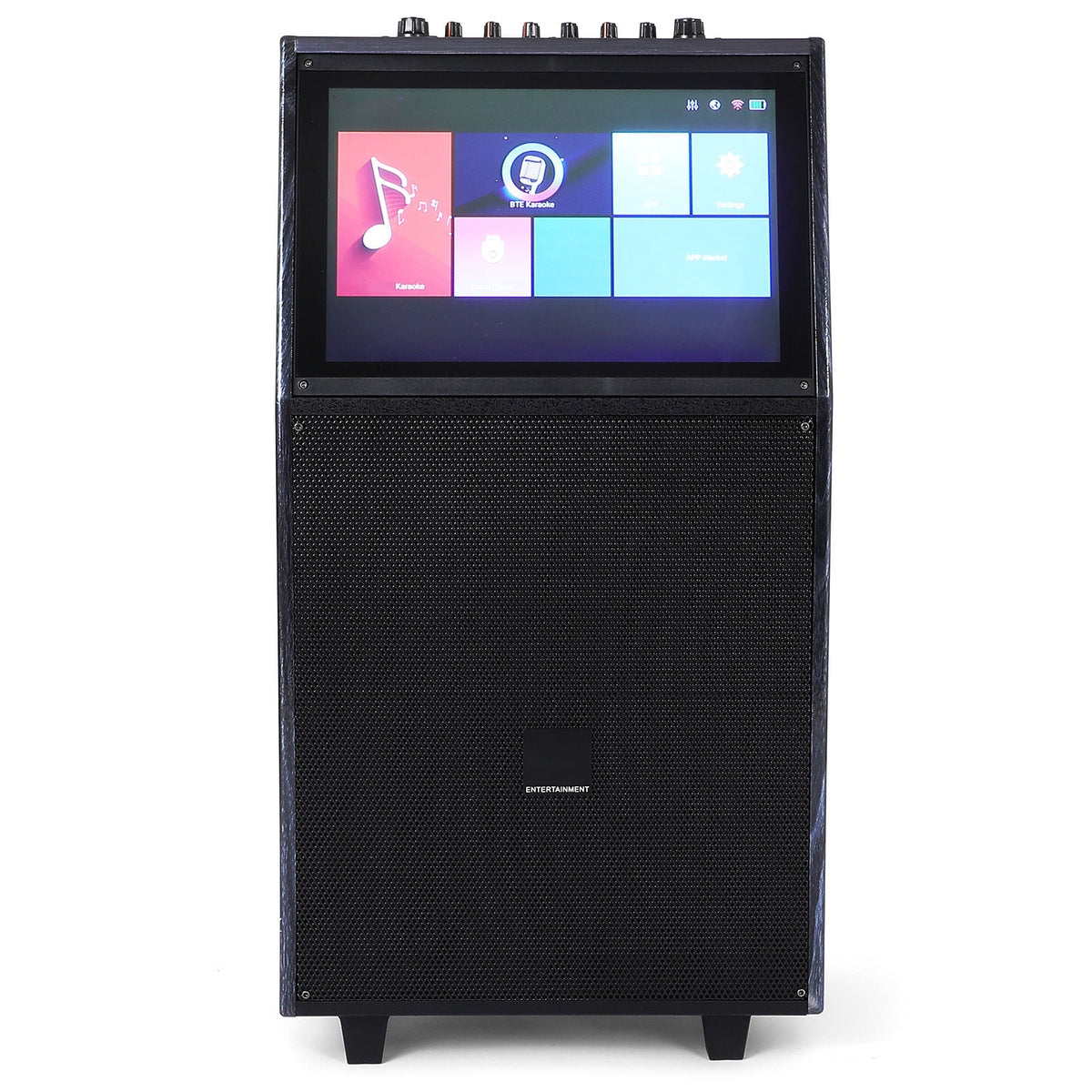 HEASOME Portable All-in-One Adult Karaoke System with Wired Microphones for Family Parties and Indoor Home Events
